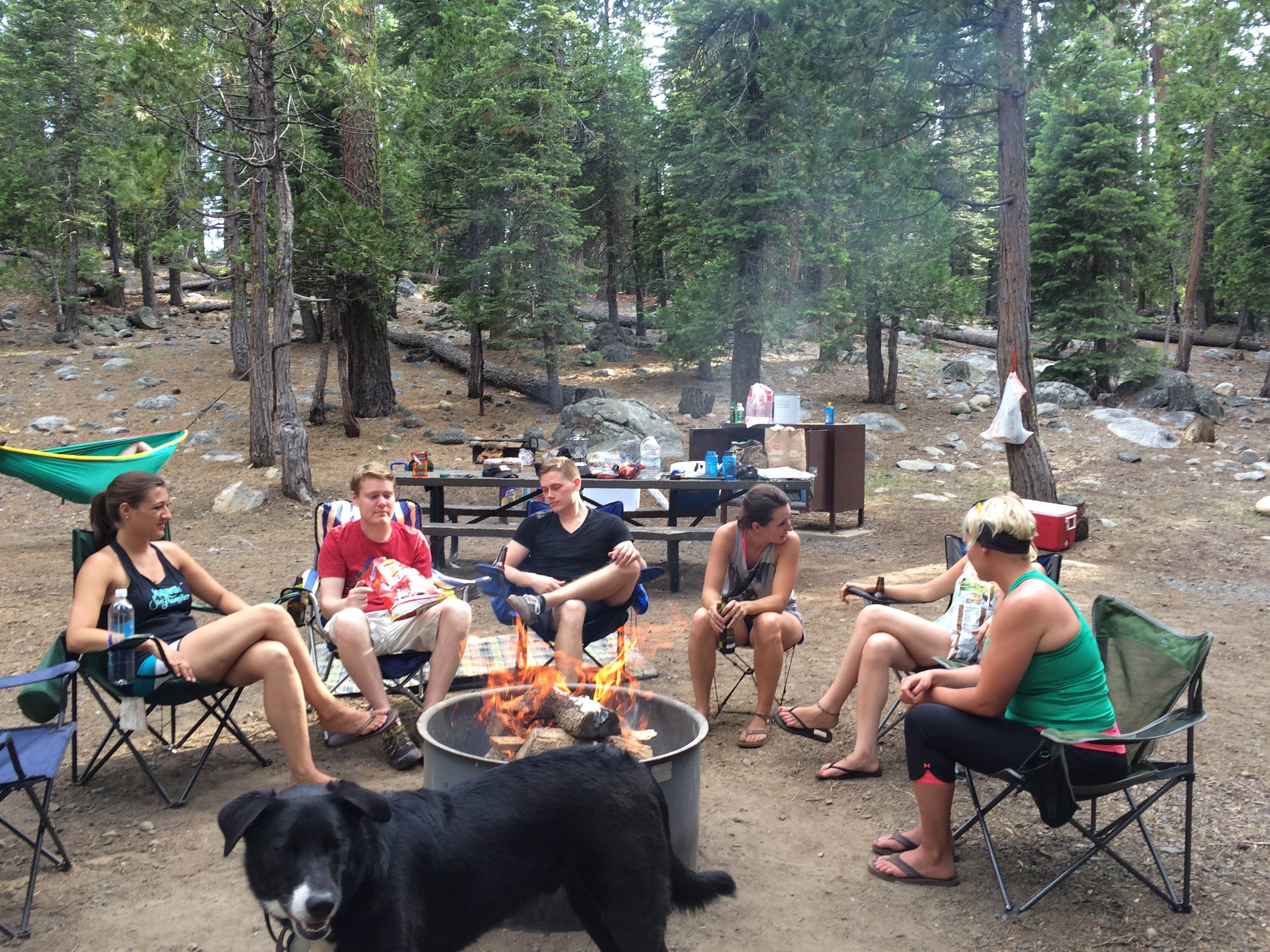 DEREK B.'s photo of camping with pets at Gerle Creek near Foresthill, CA