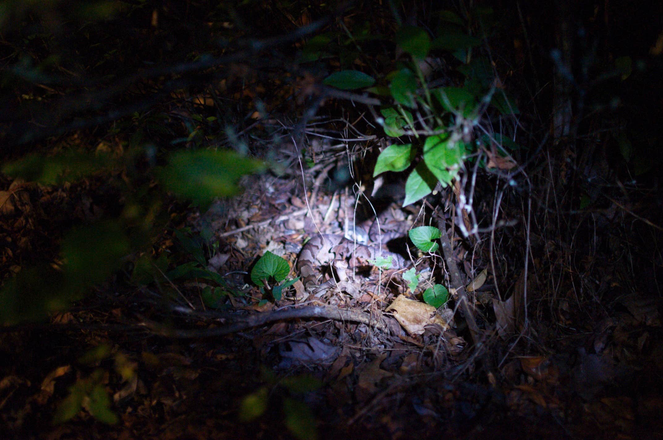 Camper-submitted photo at Soggy Boot Campground near Otto, NC