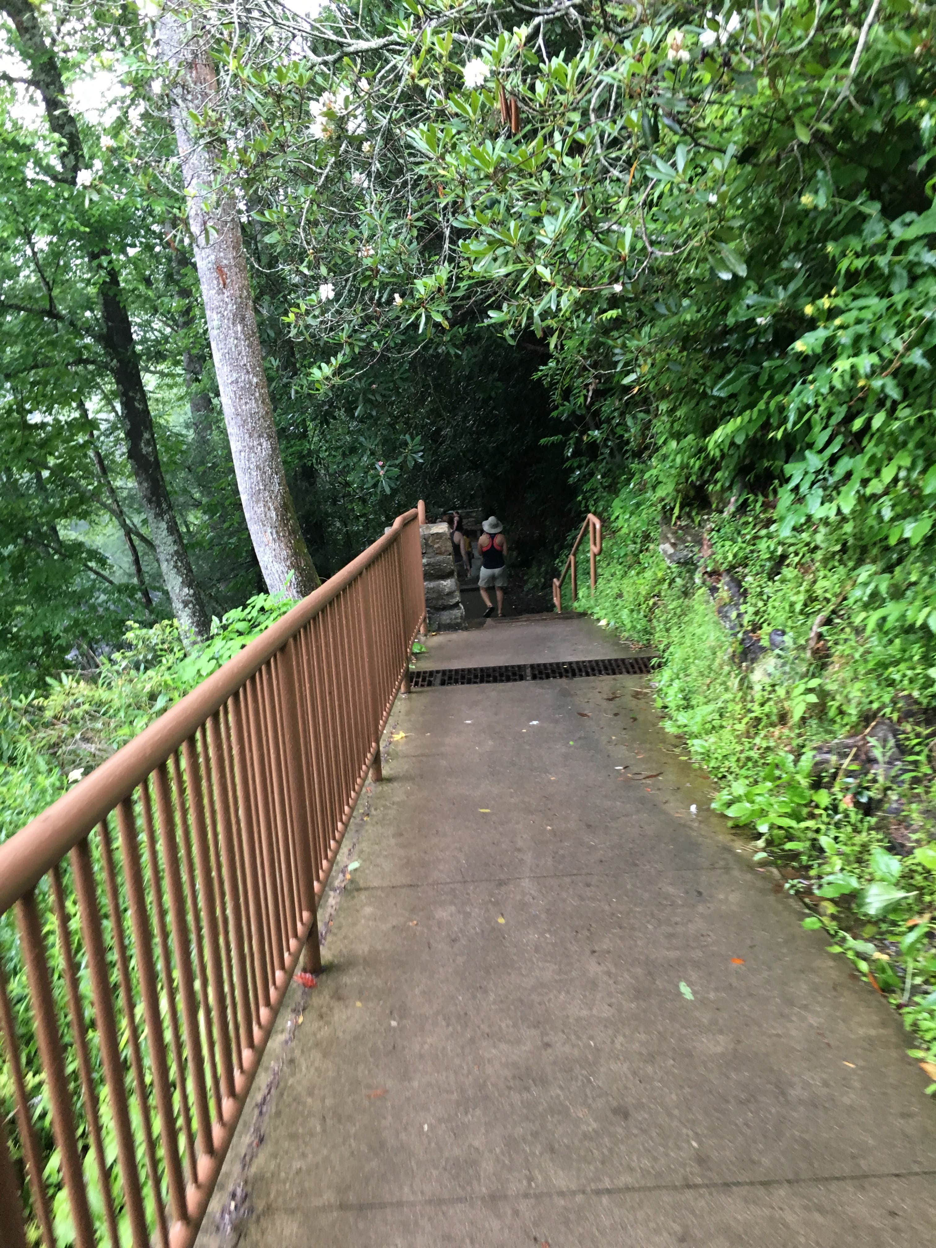 Camper-submitted photo at Cullasaja Gorge near Highlands, NC