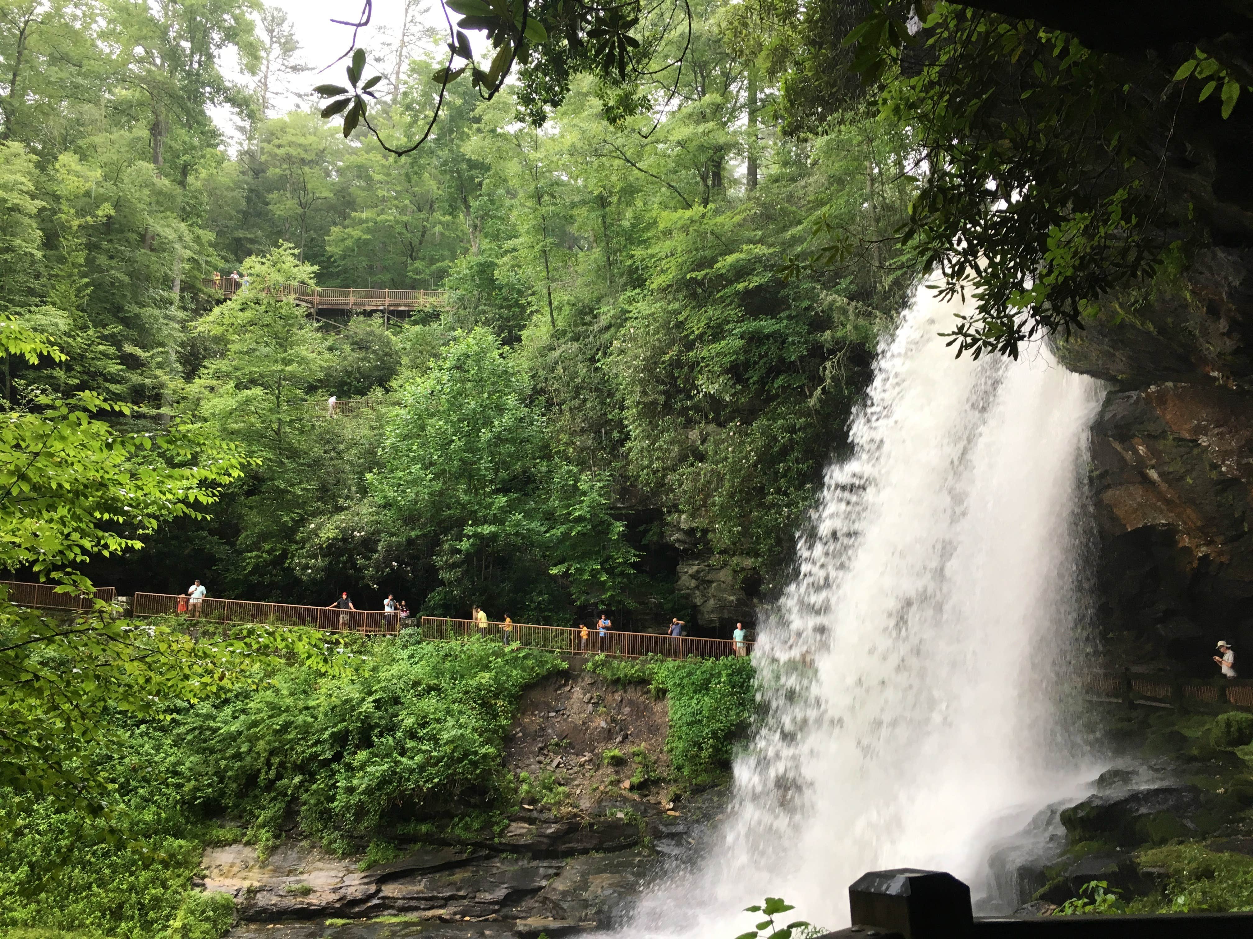 Camping near Van Hook Glade: Cullasaja Gorge, Highlands, North Carolina