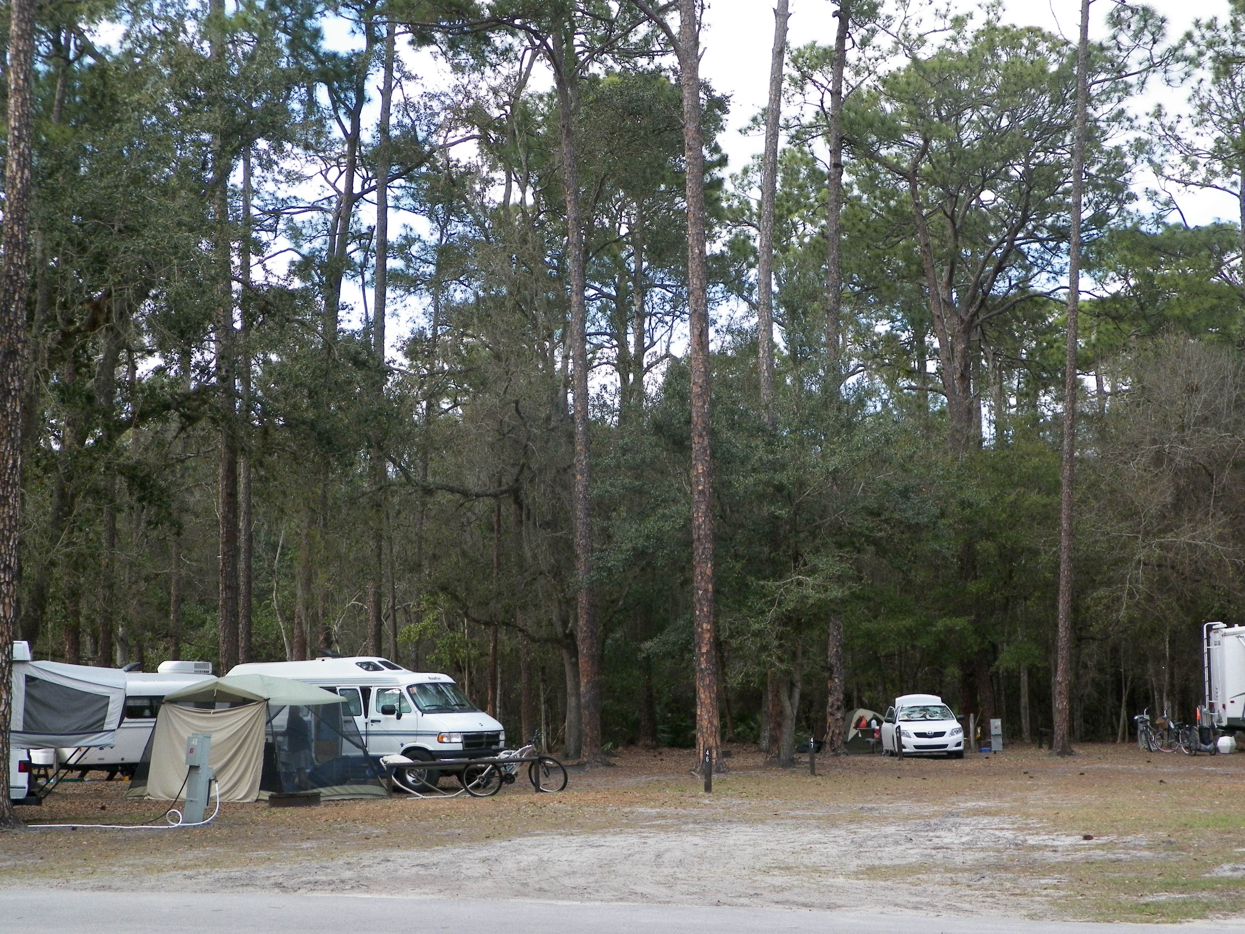 Camper submitted image from Highlands Hammock State Park Campground - 3