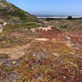 Review photo of Bodega Dunes Campground — Sonoma Coast State Park by Jill F., September 1, 2018