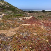 Review photo of Bodega Dunes Campground — Sonoma Coast State Park by Jill F., September 1, 2018