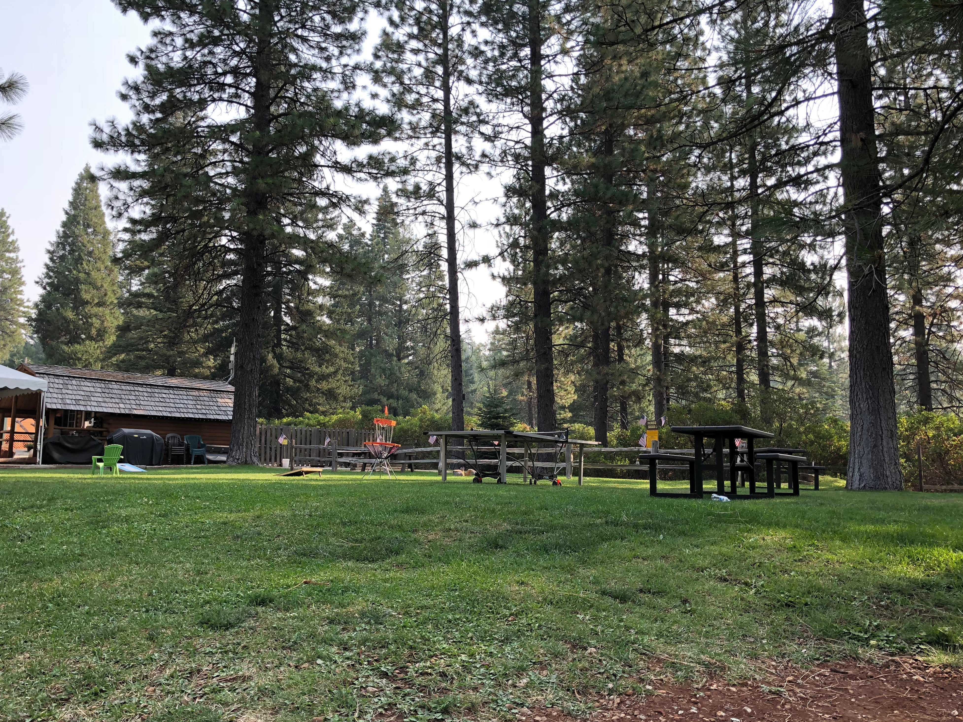 Camper submitted image from Mt. Lassen-Shingletown KOA - 4