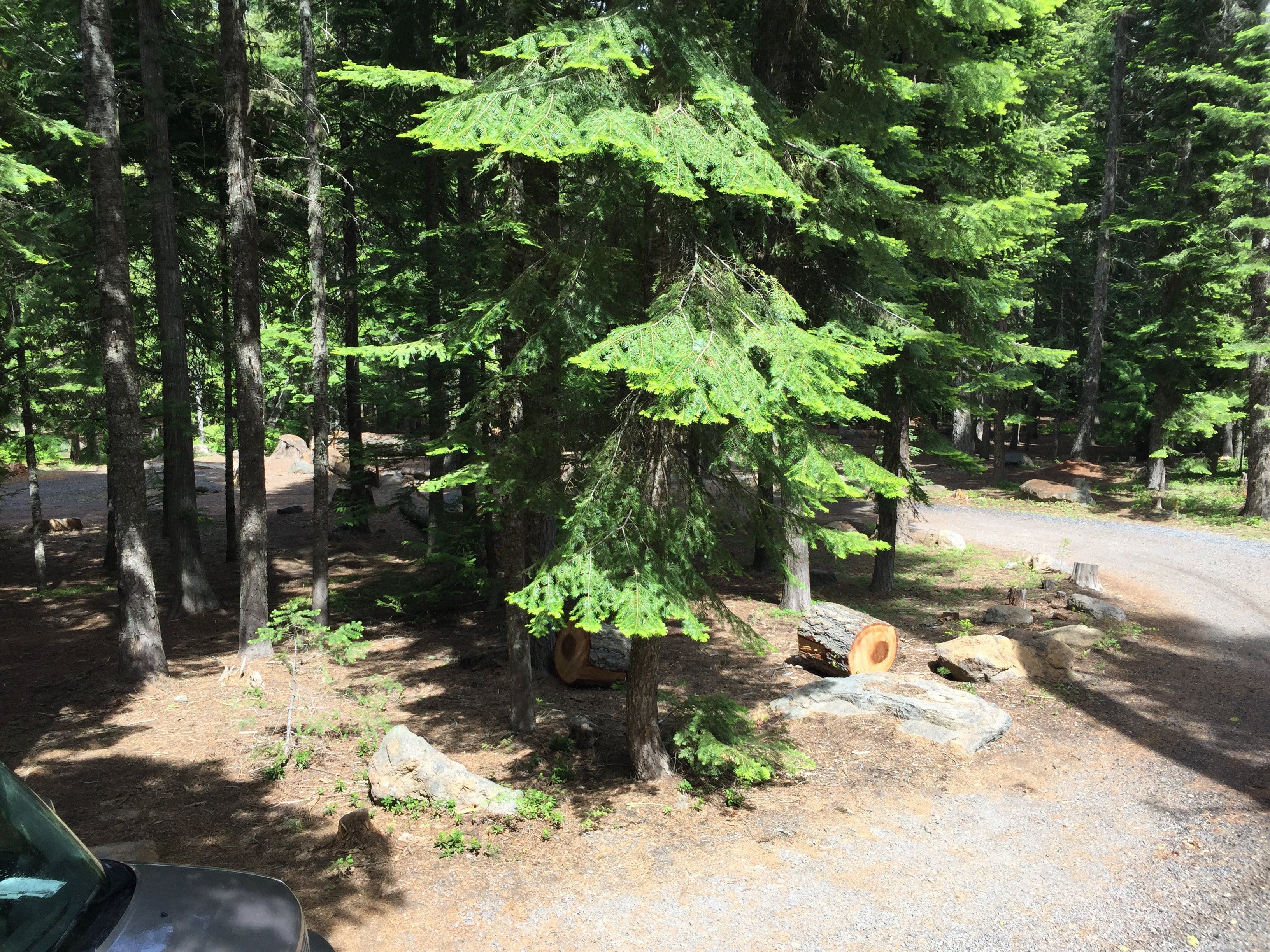Camper submitted image from Pebble Ford Campground - 2