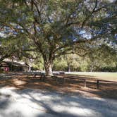 Review photo of Highlands Hammock State Park Campground by Jeanene A., August 3, 2016