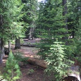 Review photo of Pebble Ford Campground by Bjorn S., September 1, 2018