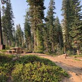 Review photo of Southwest Walk-in Campground — Lassen Volcanic National Park by Brian C., September 1, 2018