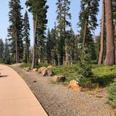 Review photo of Southwest Walk-in Campground — Lassen Volcanic National Park by Brian C., September 1, 2018