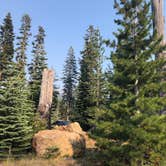 Review photo of Southwest Walk-in Campground — Lassen Volcanic National Park by Brian C., September 1, 2018