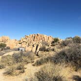 Review photo of Jumbo Rocks Campground — Joshua Tree National Park by Leslie R., September 1, 2018