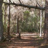 Review photo of Highlands Hammock State Park Campground by Jeanene A., August 3, 2016