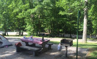 Alicia F.'s photo at Cumberland Mountain State Park Campground near Crossville, TN