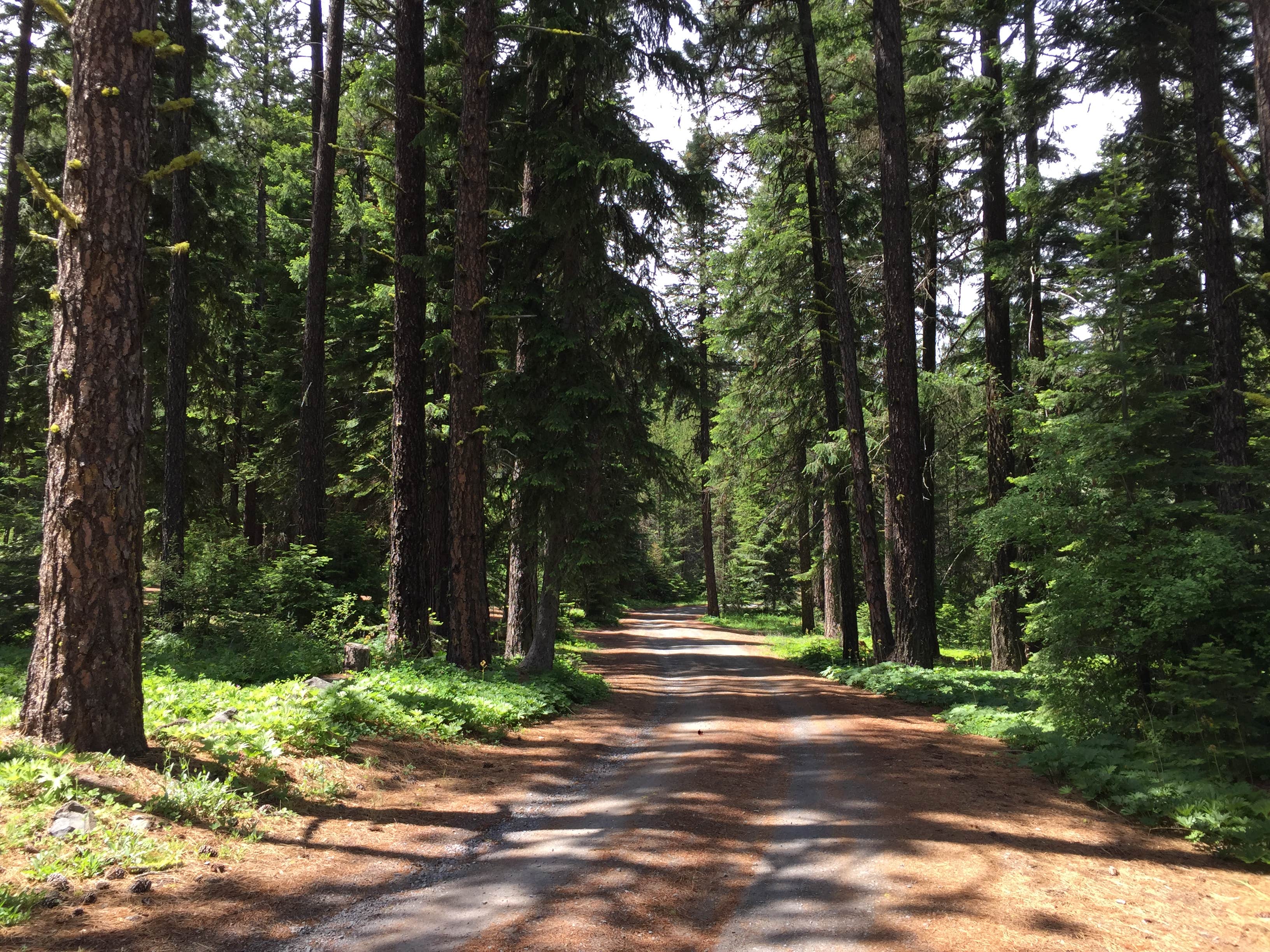 Roads