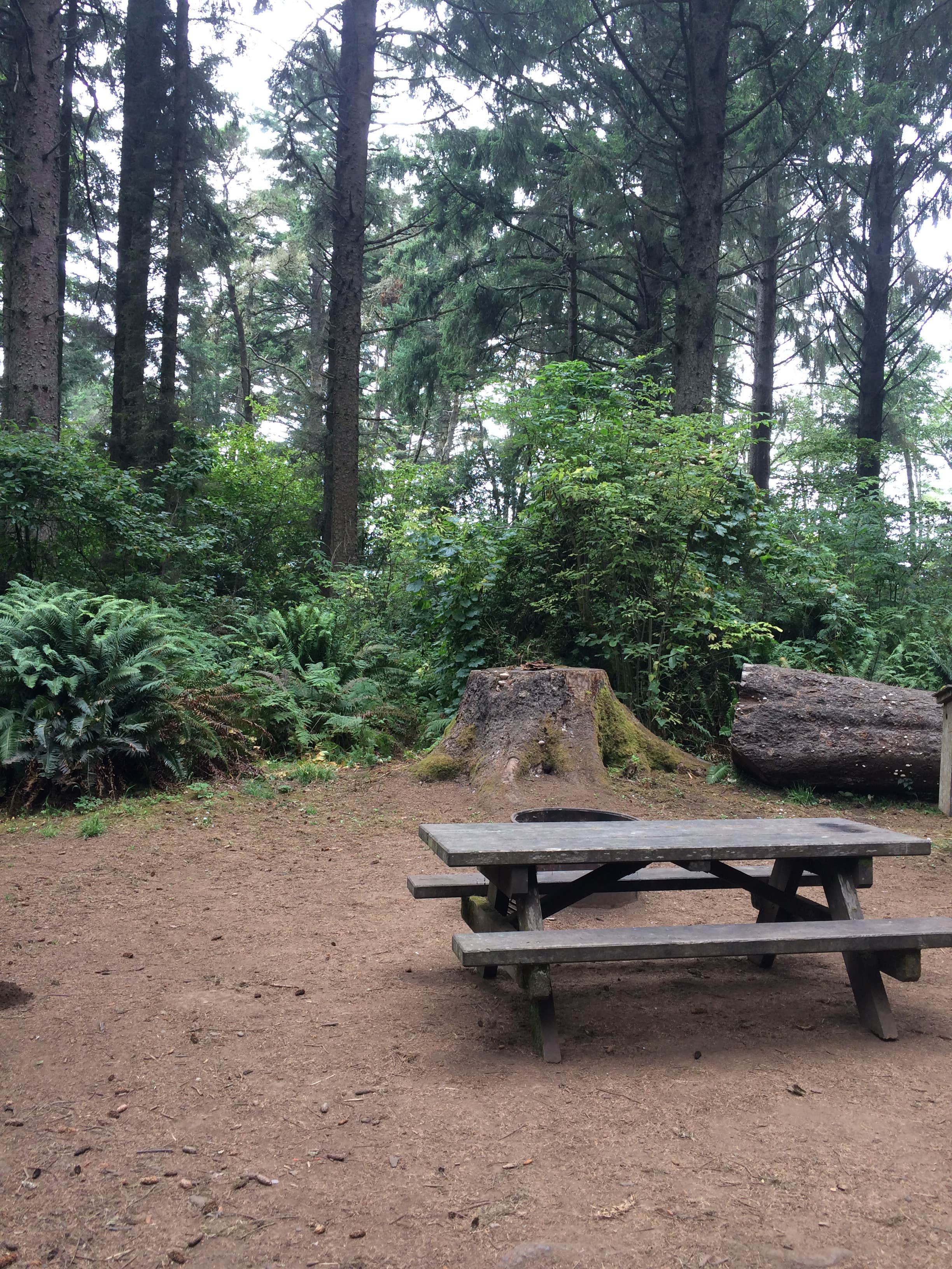 Camper submitted image from Abalone Campground — Sue-meg State Park - 5