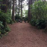 Review photo of Abalone Campground — Sue-meg State Park by Brian C., September 1, 2018