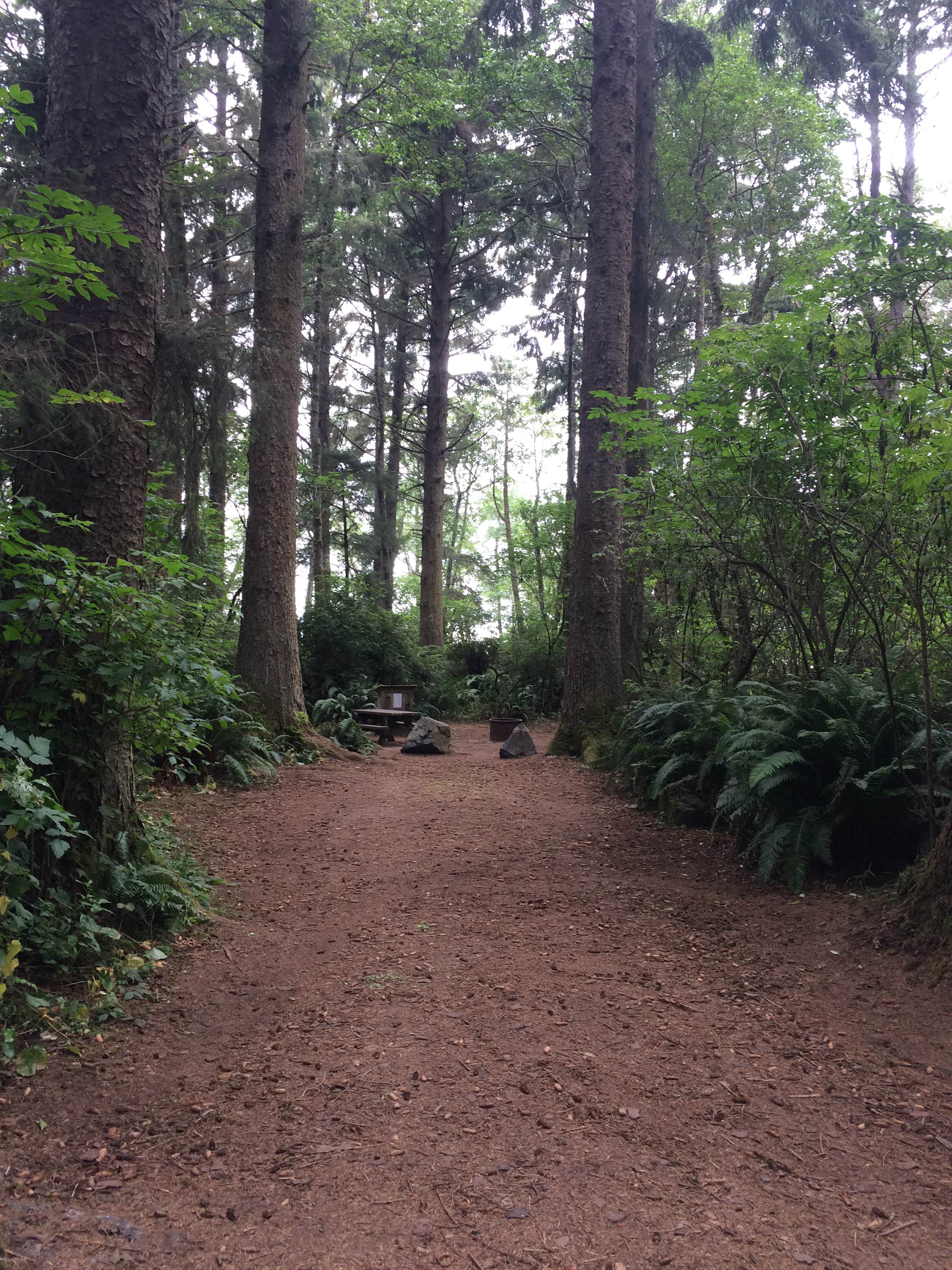 Camper submitted image from Abalone Campground — Sue-meg State Park - 4