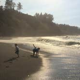 Review photo of Abalone Campground — Sue-meg State Park by Brian C., September 1, 2018