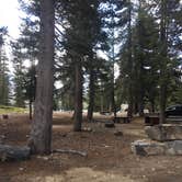 Review photo of Lake Mary Campground by Erin M., September 1, 2018