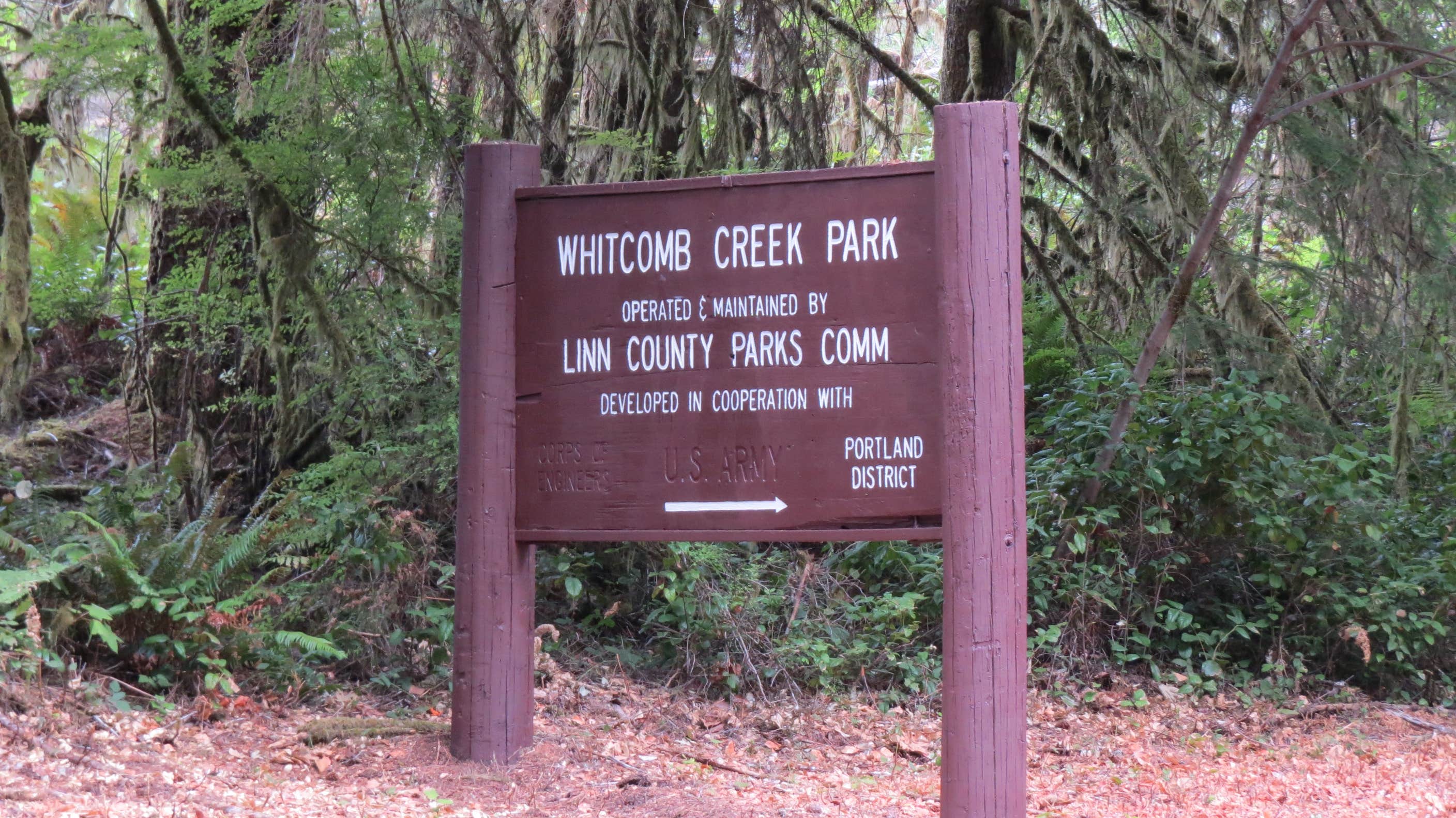 Camper-submitted photo at Whitcomb Creek County Park near Sweet Home, OR