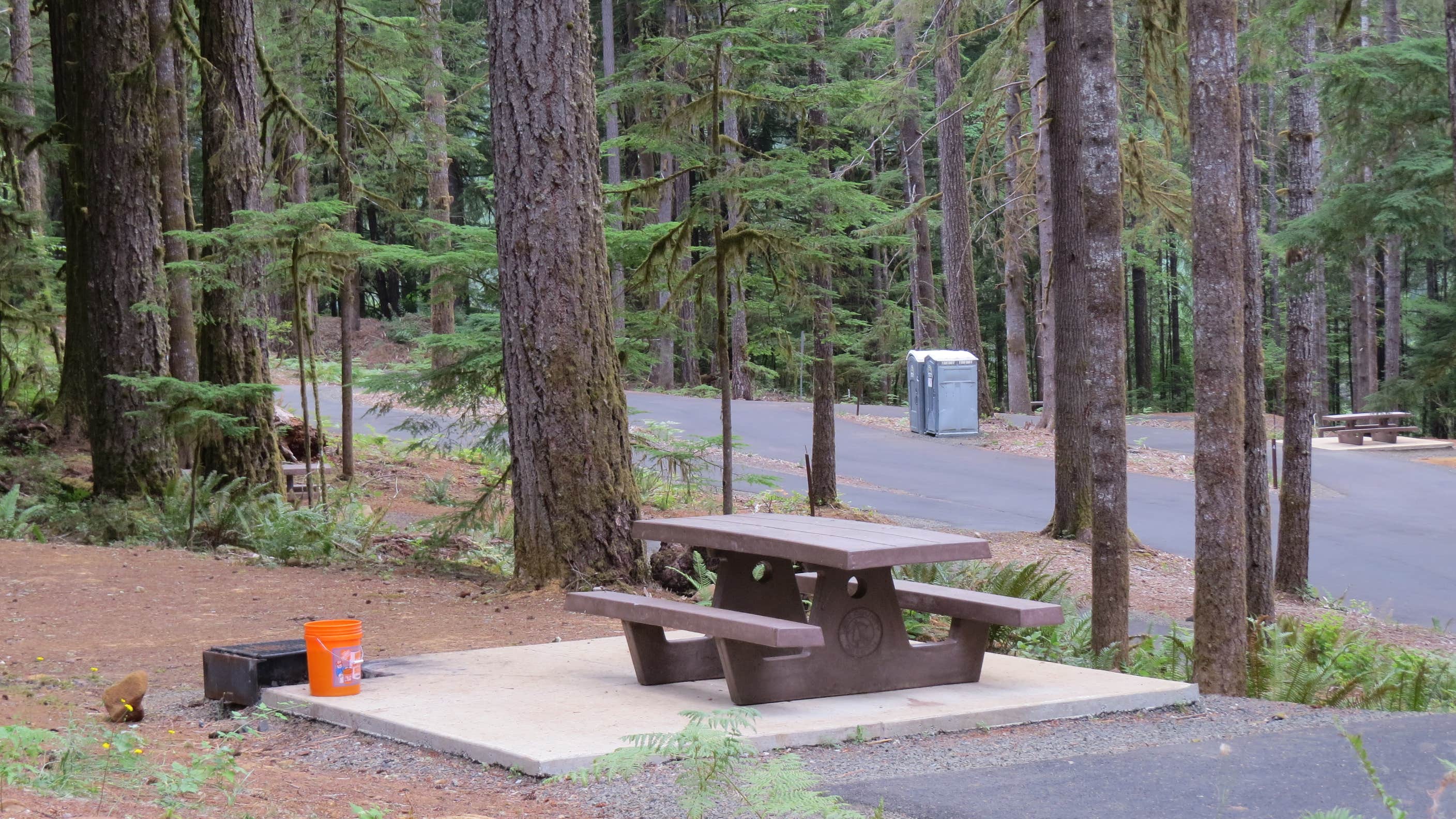 Camper-submitted photo at Whitcomb Creek County Park near Foster, OR