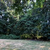Review photo of Armitage Park & Campground - a Lane County Park by Corinna B., September 1, 2018