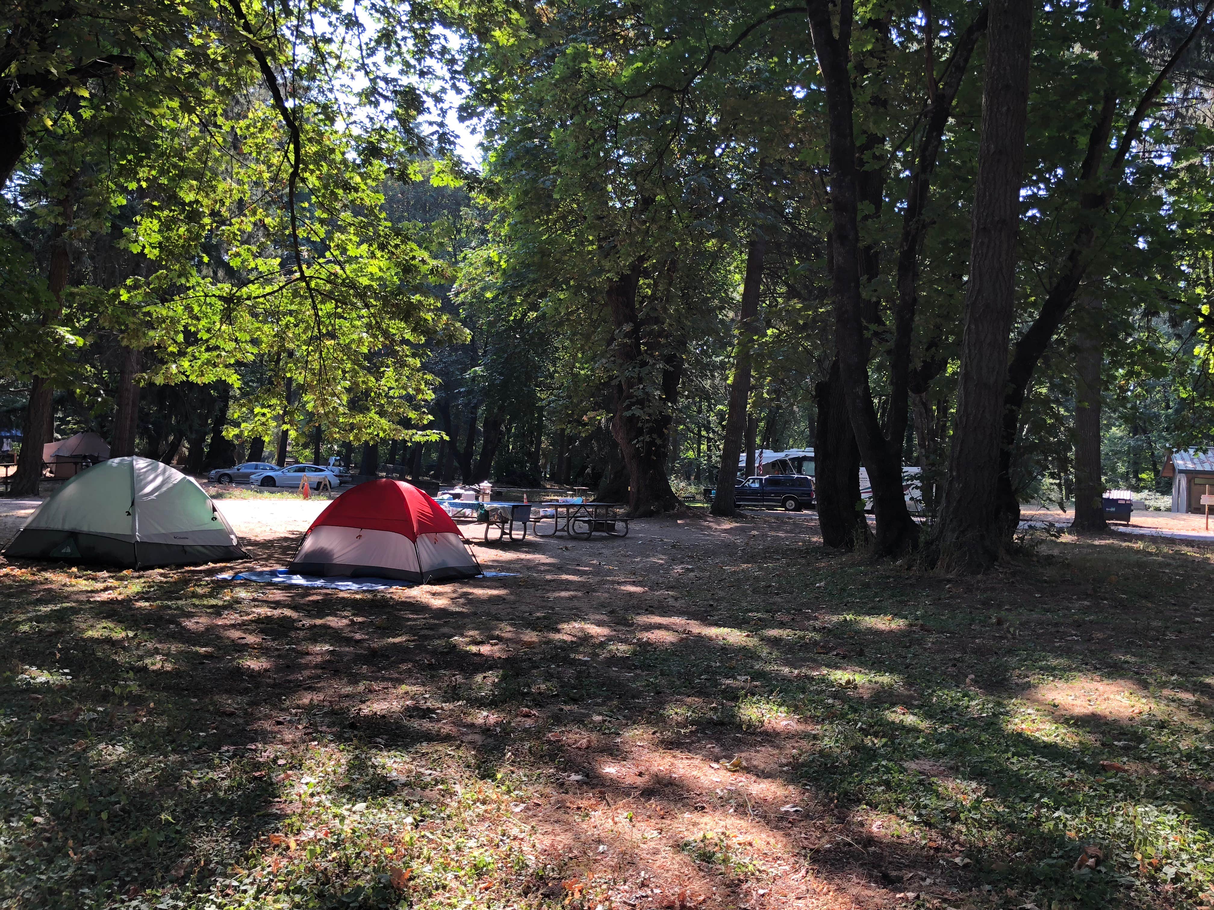 Corinna B.'s photo at Armitage Park & Campground - a Lane County Park near Veneta, OR