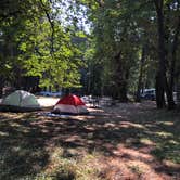 Review photo of Armitage Park & Campground - a Lane County Park by Corinna B., September 1, 2018