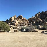 Review photo of Sheep Pass Group Campground — Joshua Tree National Park by Leslie R., September 1, 2018