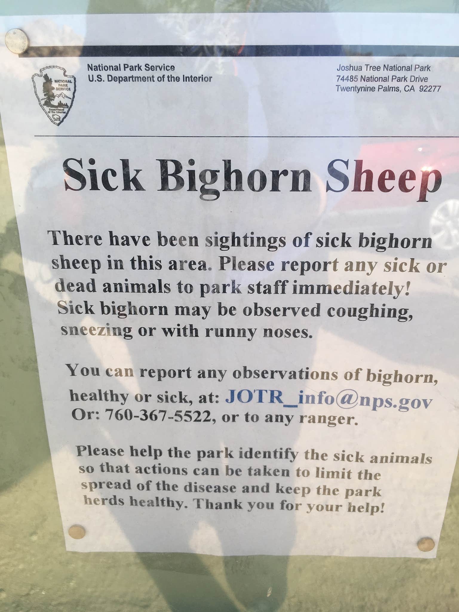 Camper submitted image from Sheep Pass Group Campground — Joshua Tree National Park - 4