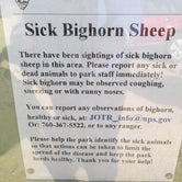 Review photo of Sheep Pass Campground — Joshua Tree National Park by Leslie R., September 1, 2018