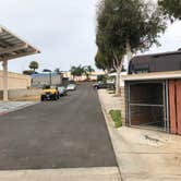 Review photo of Oceanside RV Resort by Brian C., September 1, 2018