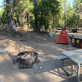 Review photo of Hodgdon Meadow Campground — Yosemite National Park by Xander V., September 16, 2022
