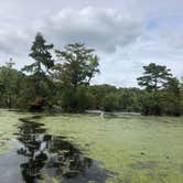 Review photo of Merchants Millpond State Park Campground by Harry F., September 16, 2022