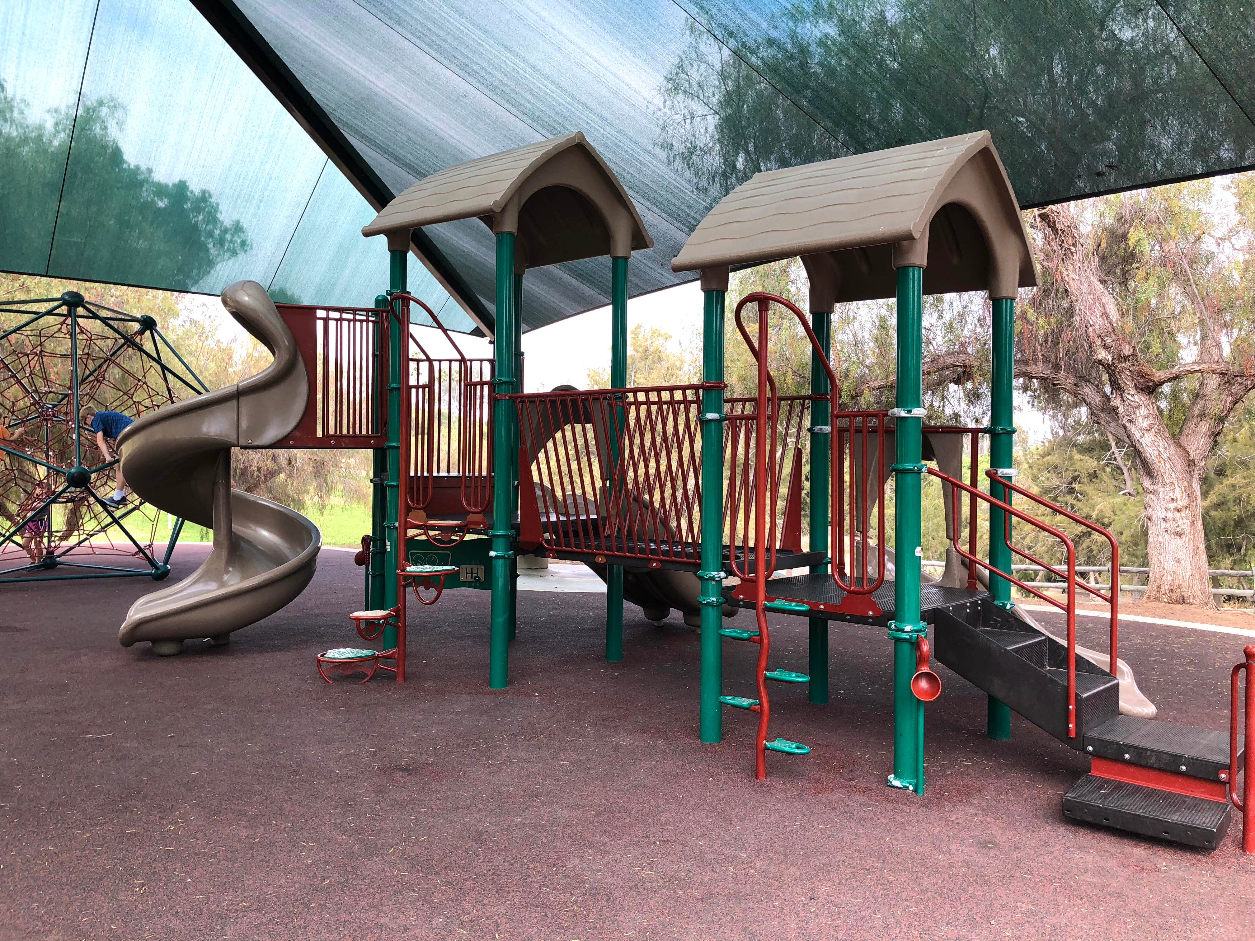 Camper submitted image from Guajome Regional Park - 4