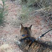 Review photo of Indian Paintbrush Campground—Bear Creek Lake Park by Heather K., September 16, 2022