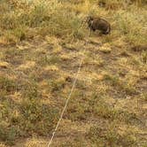 Review photo of Indian Paintbrush Campground—Bear Creek Lake Park by Heather K., September 16, 2022