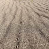 Review photo of Pinon Flats Campground — Great Sand Dunes National Park by Heather K., September 12, 2022