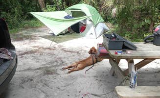 Vincent N.'s photo at Koreshan State Park Campground near Sanibel, FL