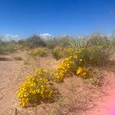 Review photo of Homolovi State Park Campground by Grace D., September 17, 2022