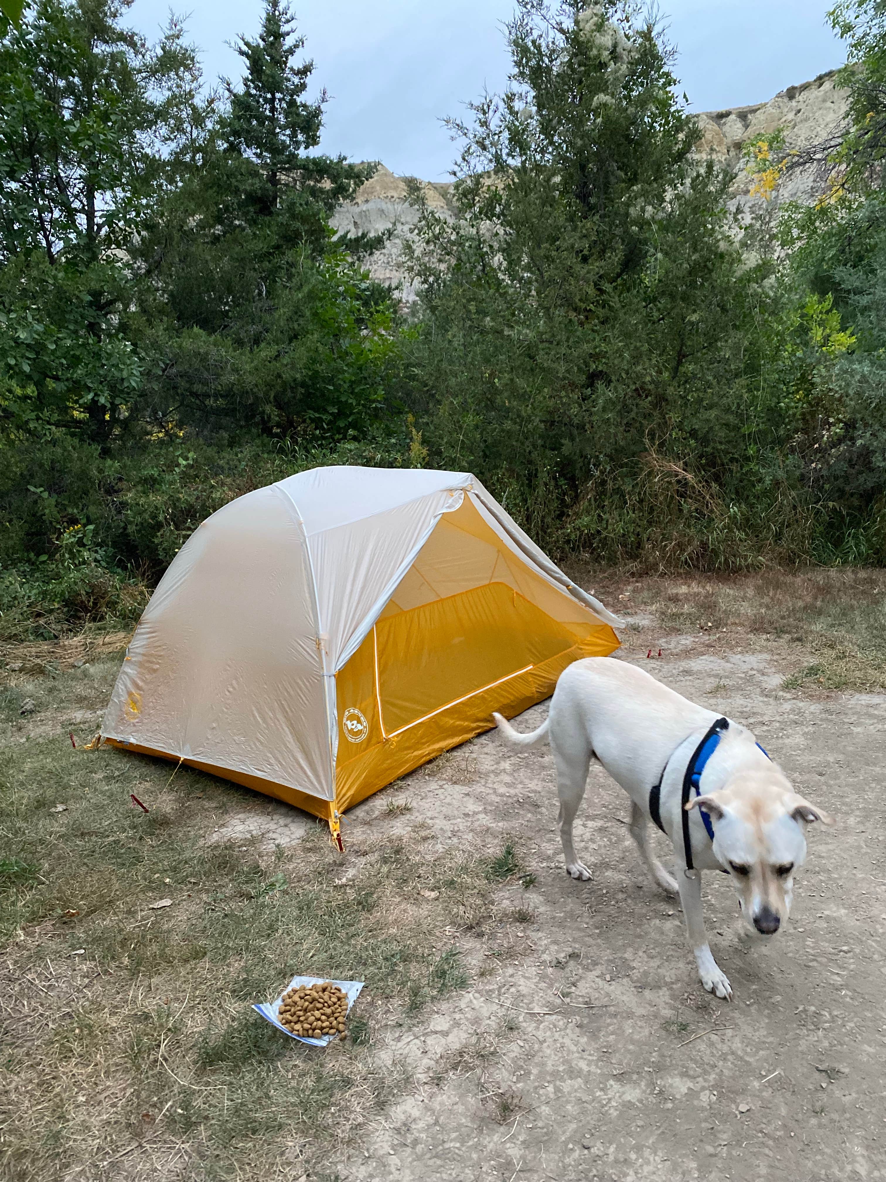 Angie G.'s photo of camping with pets at Rough Rider State Park Campground in North Dakota