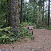 Review photo of Tinkham Campground by Mary C., September 1, 2018