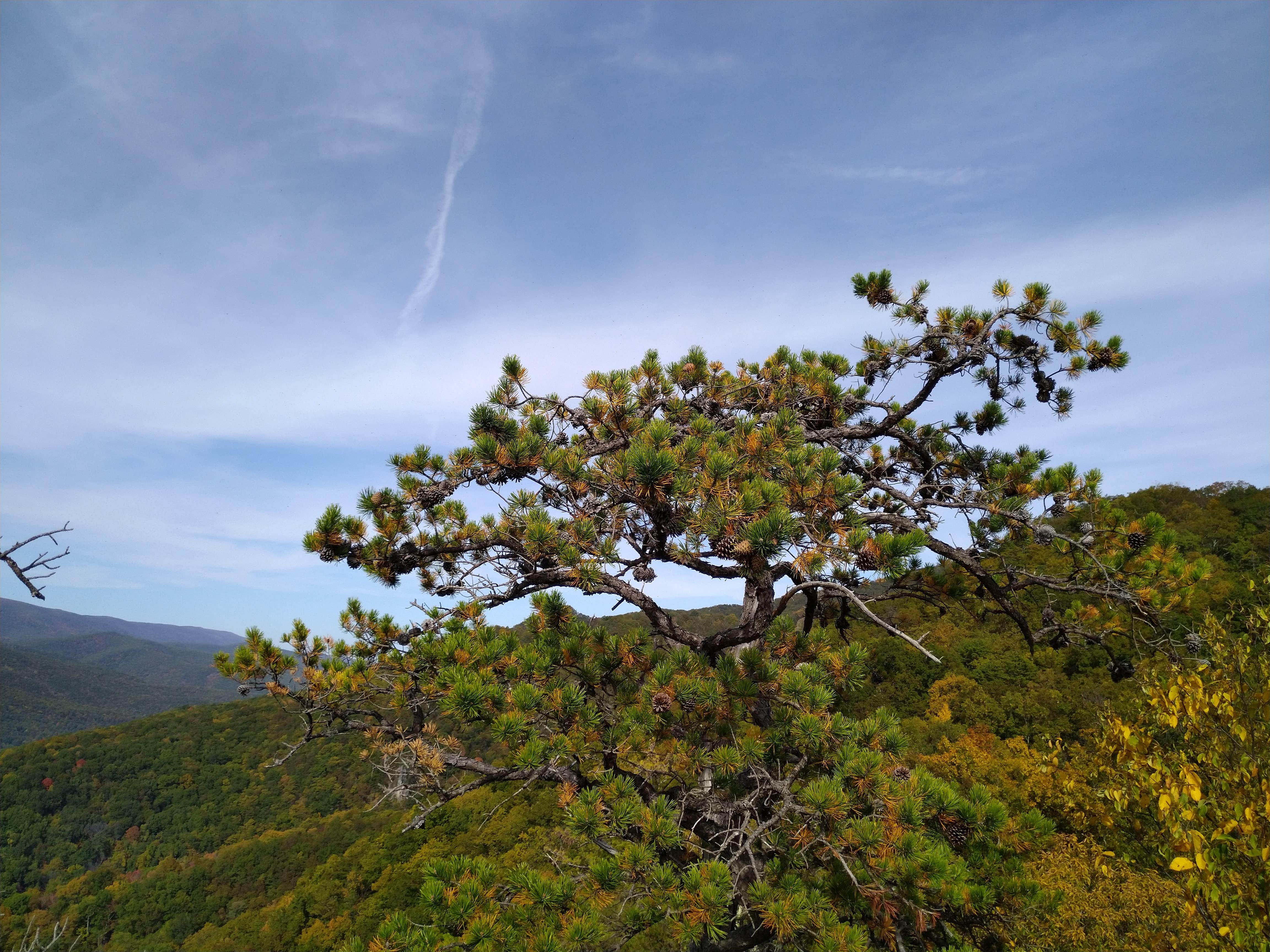 Camper-submitted photo at Yokums Vacationland and Princess Snowbirds Indian Village near Seneca Rocks, WV