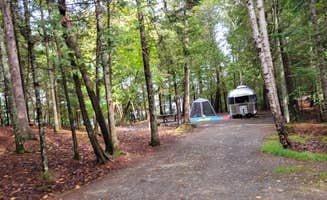 Nancy W.'s photo at Rowell Cove Campground — Lily Bay State Park near Frenchtown, ME