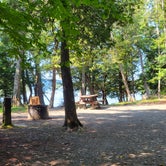 Review photo of Rowell Cove Campground — Lily Bay State Park by Nancy W., September 17, 2022