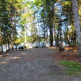 Review photo of Rowell Cove Campground — Lily Bay State Park by Nancy W., September 17, 2022