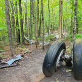 Review photo of Rowell Cove Campground — Lily Bay State Park by Nancy W., September 17, 2022