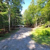 Review photo of Rowell Cove Campground — Lily Bay State Park by Nancy W., September 17, 2022