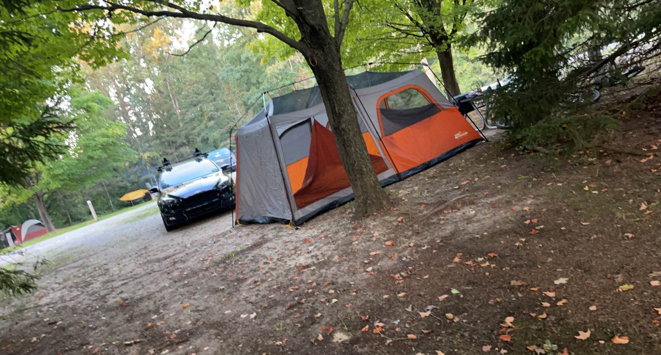 Camper-submitted photo at Wabasis Lake County Park near Stanton, MI