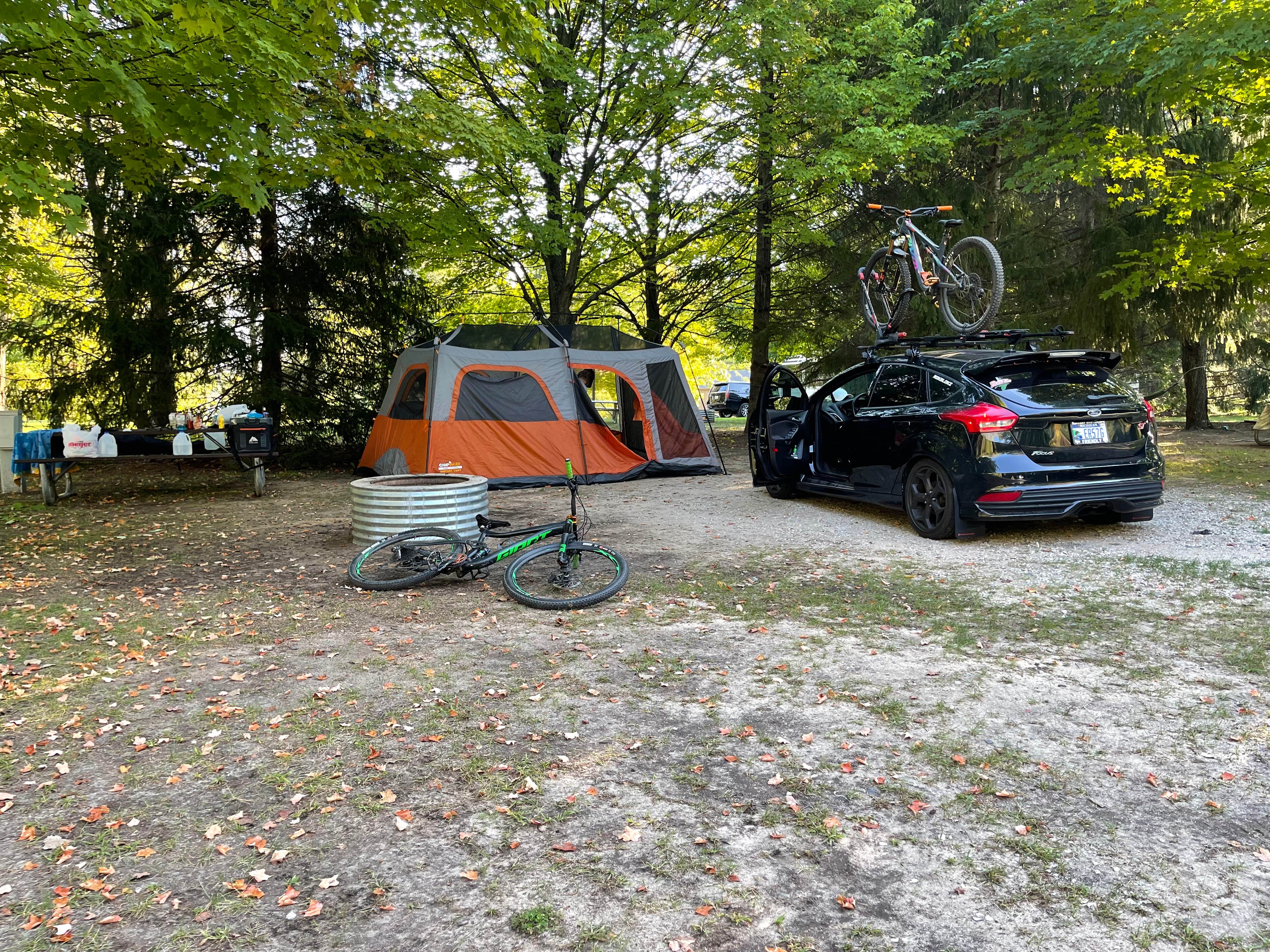 Camper-submitted photo at Wabasis Lake County Park near Stanton, MI